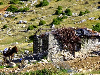 anders reisen auf dem Balkan in Albanien