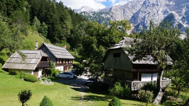 Urlaub auf dem �ko Bauernhof Makek in den slowenischen Alpen 